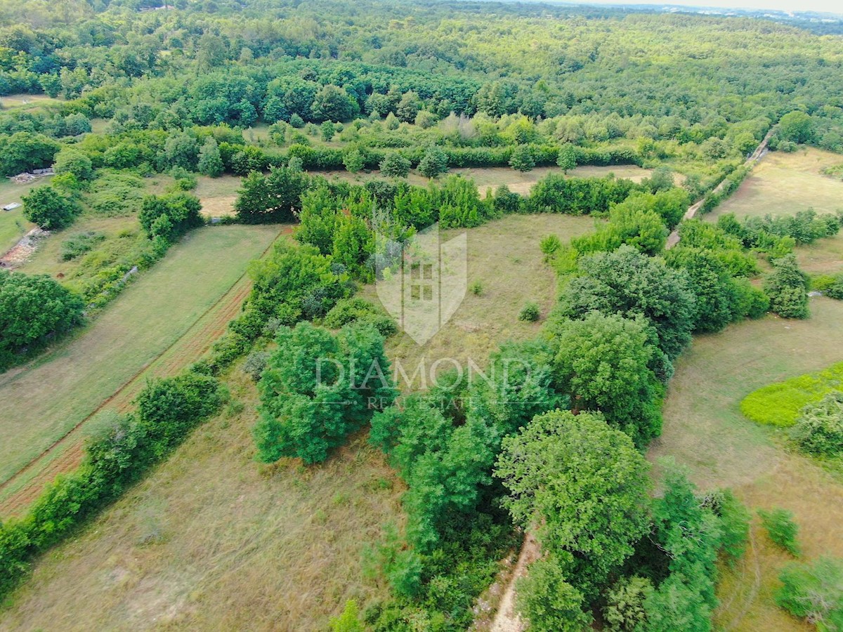 Terreno edificabile in ottima posizione, vicino a Marcana