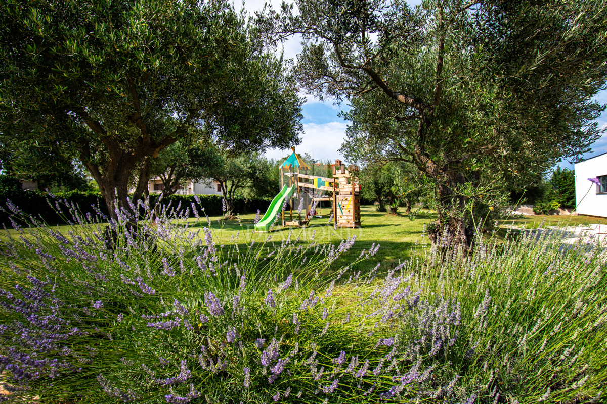 Marčana, dintorni, villa di design immersa nella natura