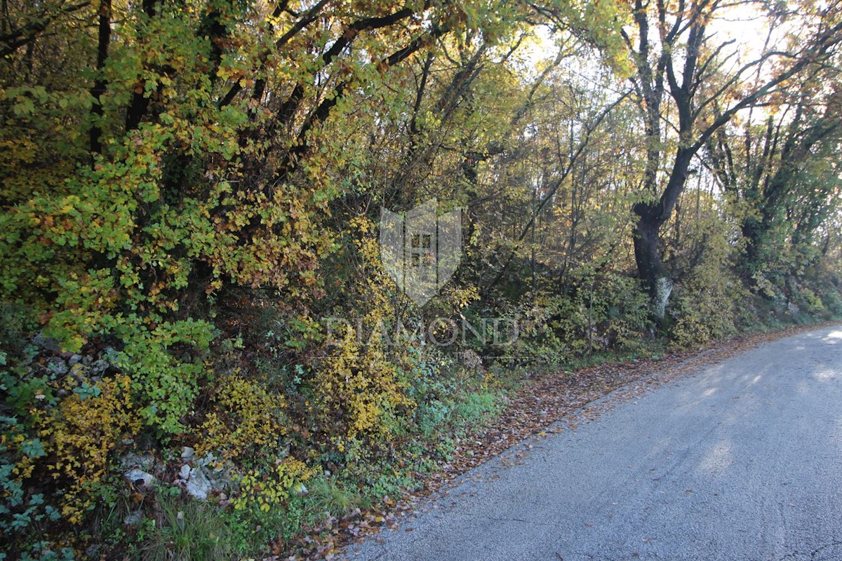 Labin, dintorni, terreno in ottima posizione