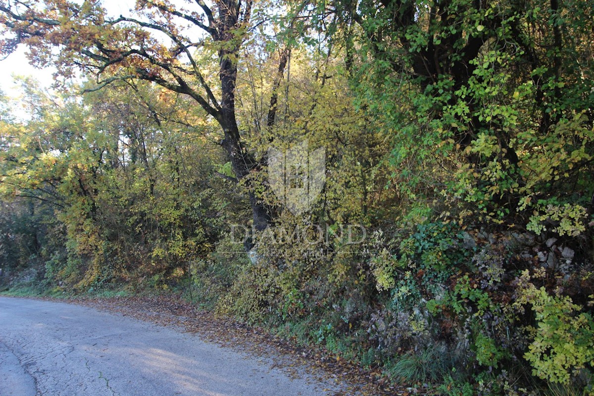 Labin, dintorni, terreno in ottima posizione