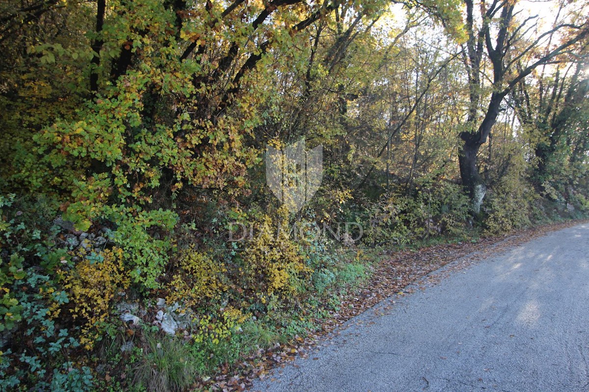 Labin, dintorni, terreno in ottima posizione