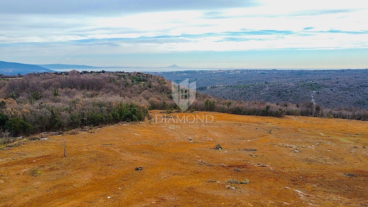 Barban, a sud dell'Istria, grande terreno edificabile per 53 edifici