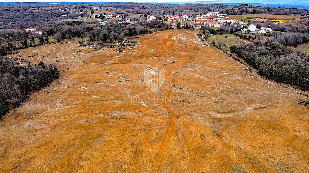 Barban, a sud dell'Istria, grande terreno edificabile per 53 edifici