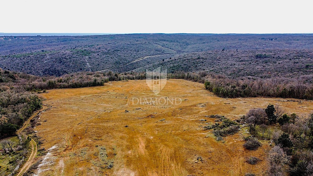 Barban, a sud dell'Istria, grande terreno edificabile per 53 edifici