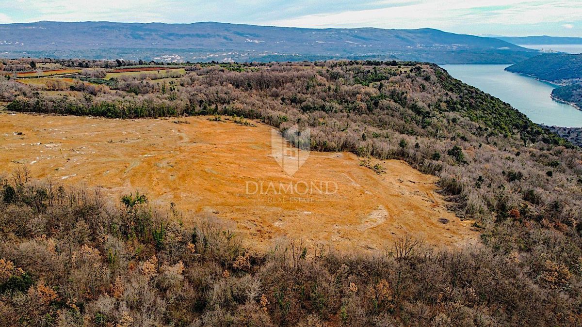 Barban, a sud dell'Istria, grande terreno edificabile per 53 edifici