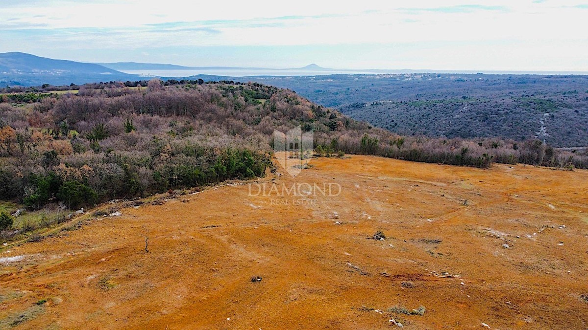 Barban, a sud dell'Istria, grande terreno edificabile per 53 edifici