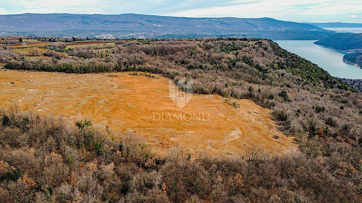 Barban, a sud dell'Istria, grande terreno edificabile per 53 edifici