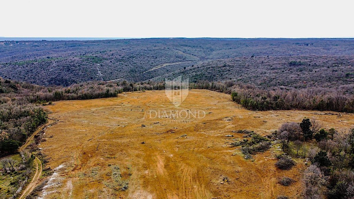 Barban, a sud dell'Istria, grande terreno edificabile per 53 edifici
