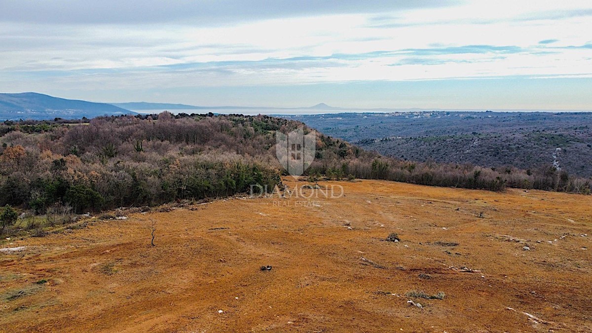 Barban, a sud dell'Istria, grande terreno edificabile per 53 edifici