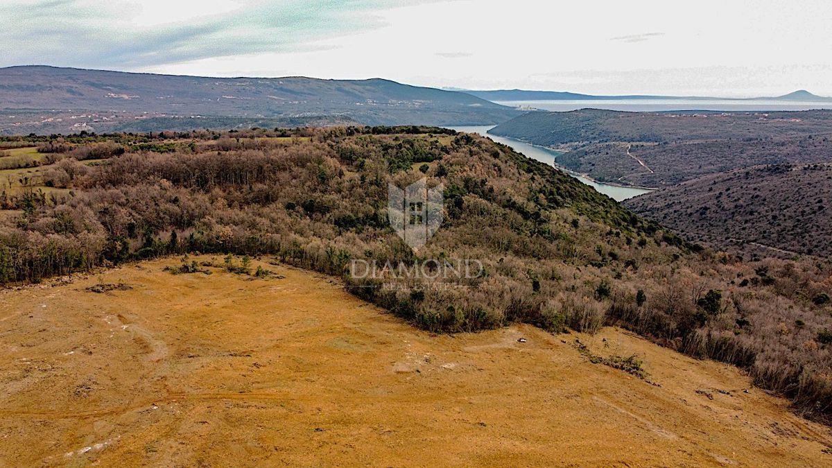 Barban, a sud dell'Istria, grande terreno edificabile per 53 edifici
