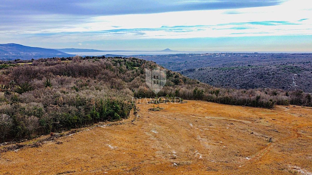 Barban, a sud dell'Istria, grande terreno edificabile per 53 edifici
