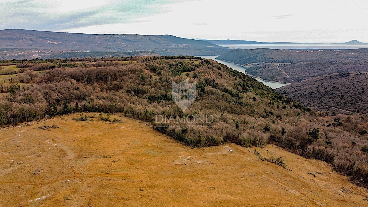 Barban, a sud dell'Istria, grande terreno edificabile per 53 edifici