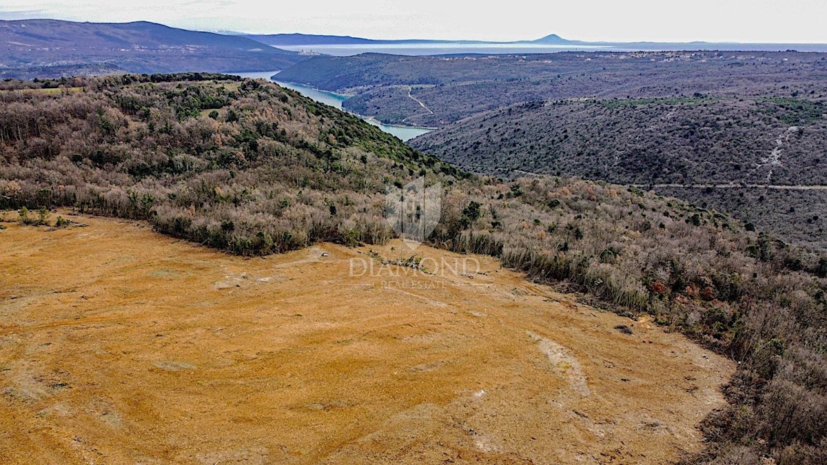 Barban, a sud dell'Istria, grande terreno edificabile per 53 edifici