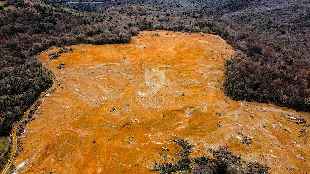 Barban, a sud dell'Istria, grande terreno edificabile per 53 edifici