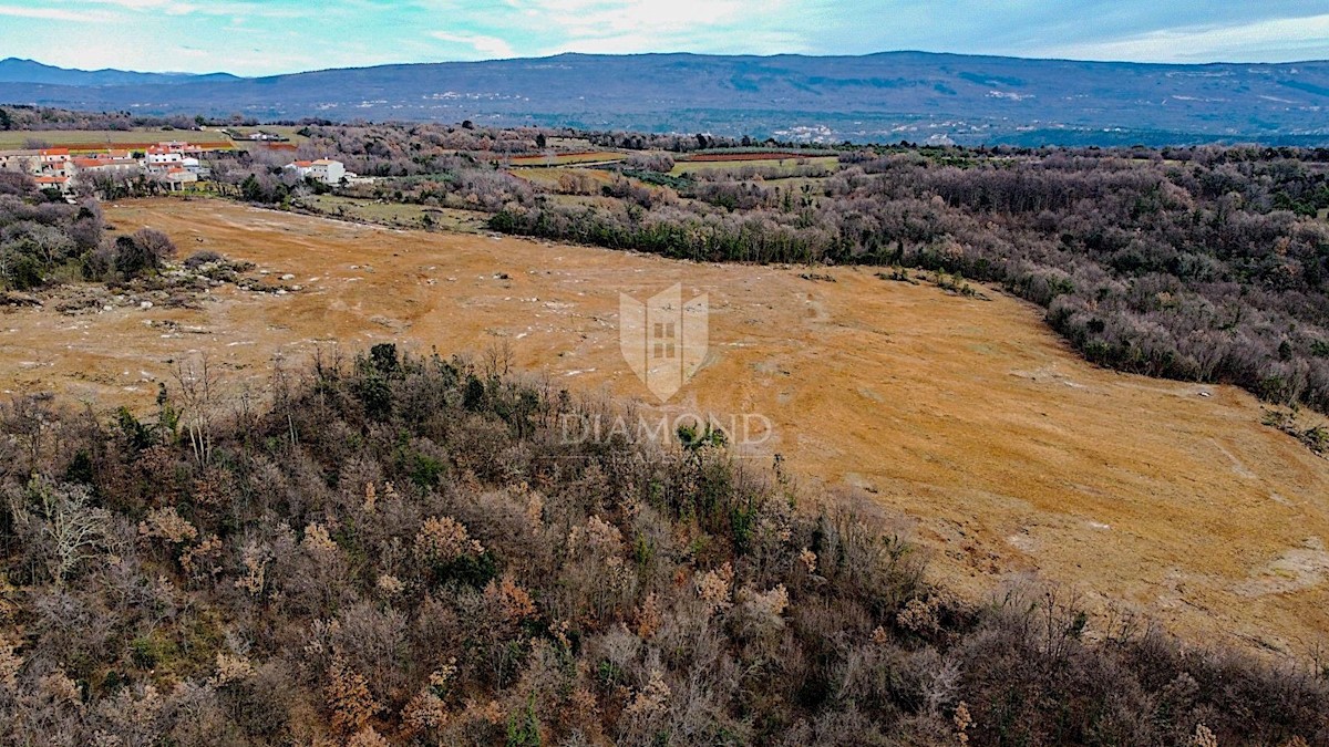 Barban, a sud dell'Istria, grande terreno edificabile per 53 edifici