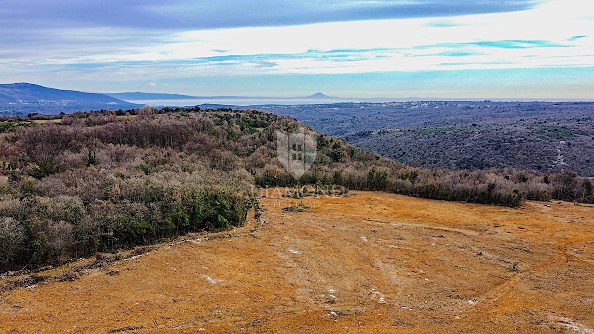 Barban, a sud dell'Istria, grande terreno edificabile per 53 edifici