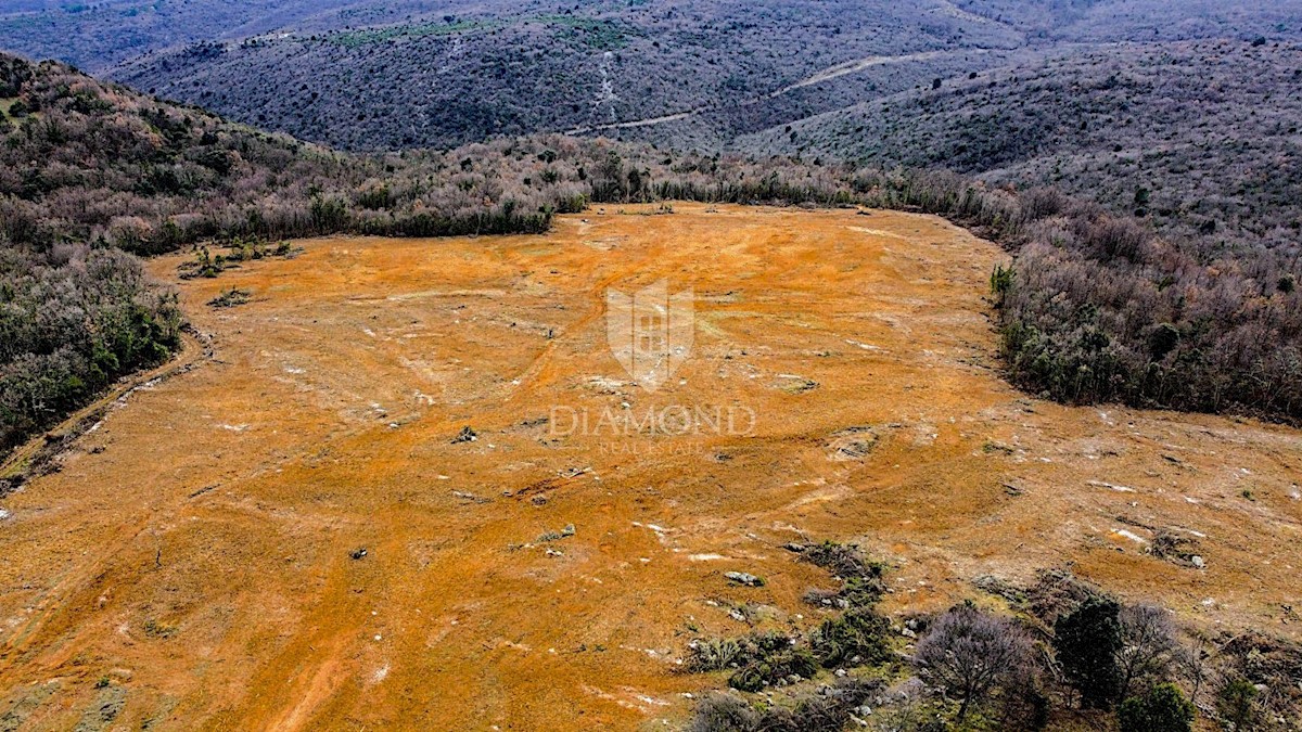 Barban, a sud dell'Istria, grande terreno edificabile per 53 edifici