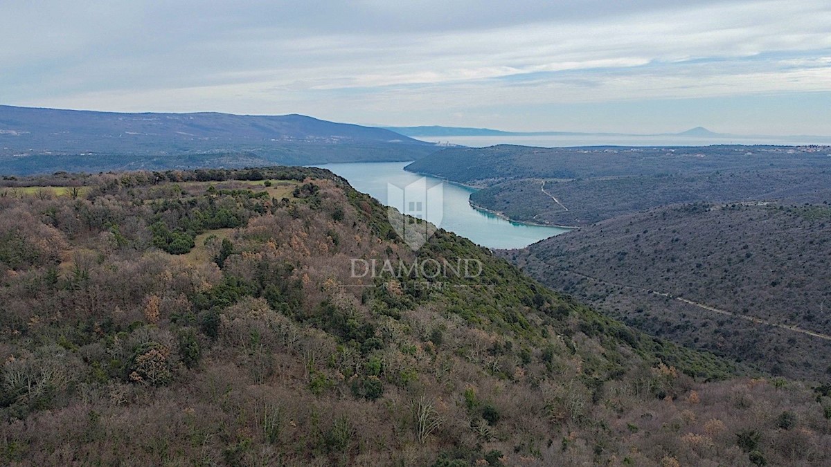 Barban, a sud dell'Istria, grande terreno edificabile per 53 edifici