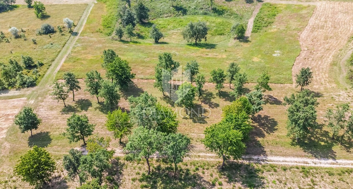 Parenzo, dintorni, terreno edificabile per costruire una casa!