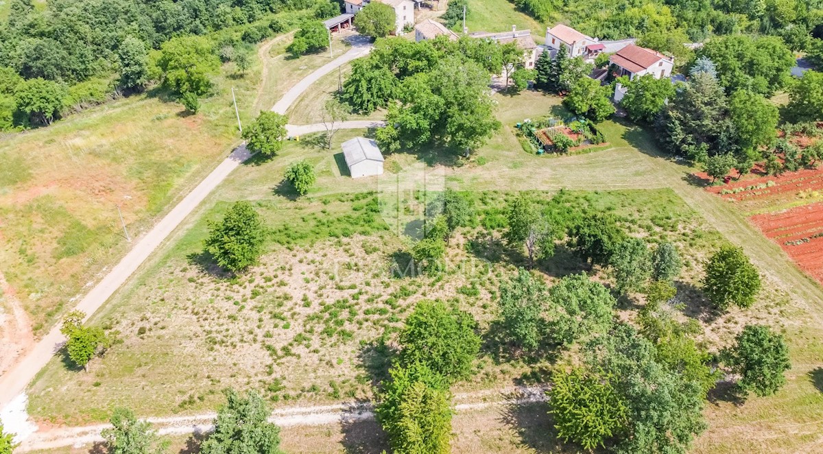 Parenzo, dintorni, terreno edificabile per costruire una casa!