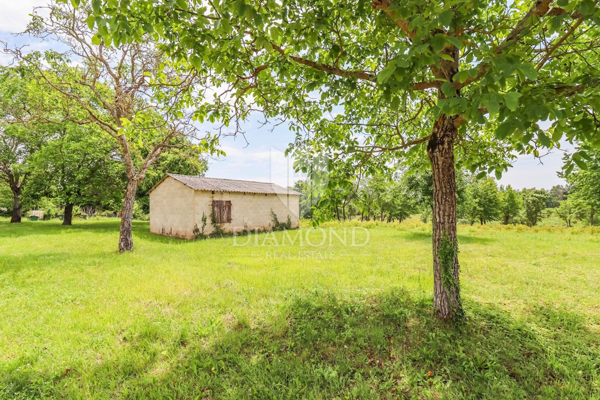 Parenzo, dintorni, terreno edificabile per costruire una casa!