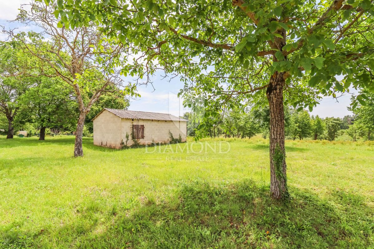 Parenzo, dintorni, terreno edificabile per costruire una casa!