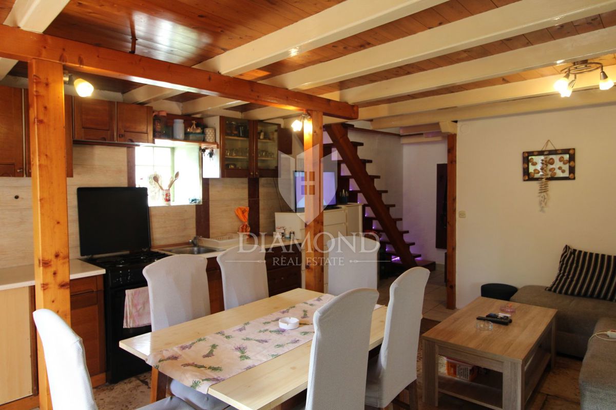 Marčana, due case in pietra in fila per l'adattamento