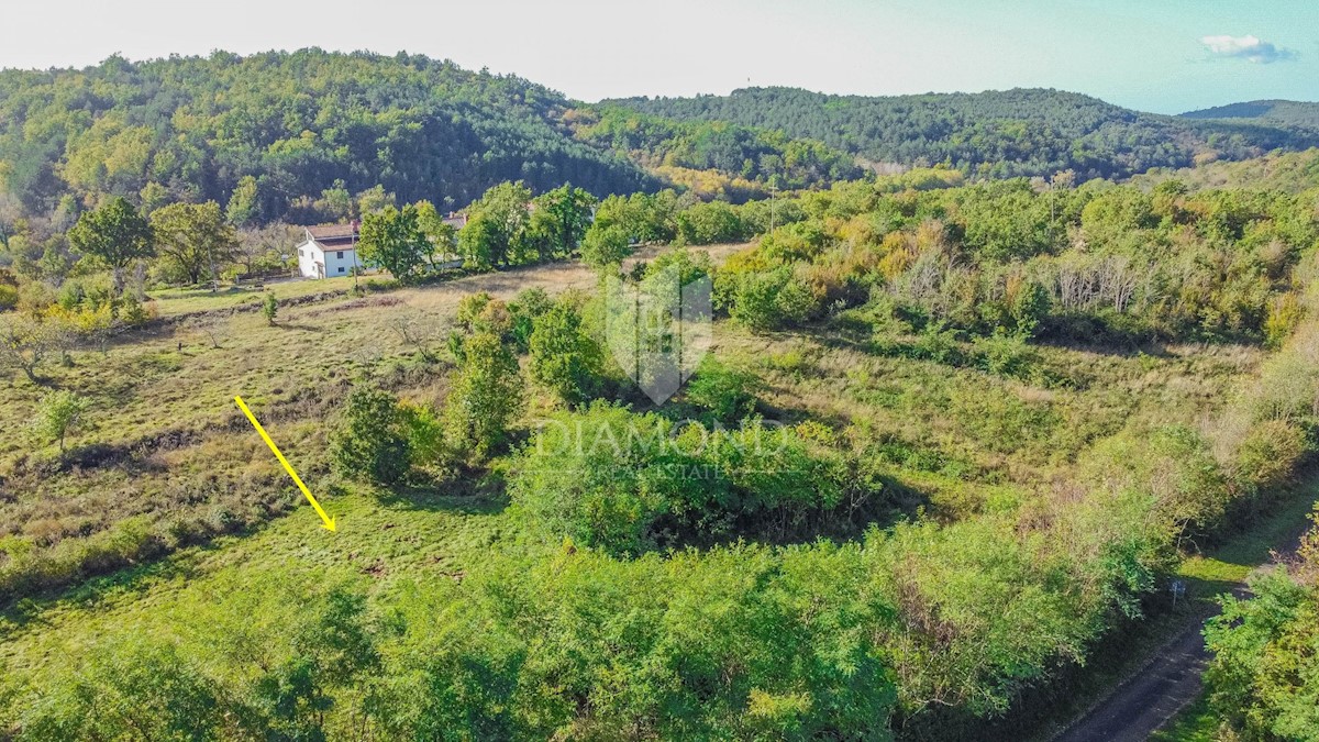 Buie, terreno Grožnjan, 1.413m2