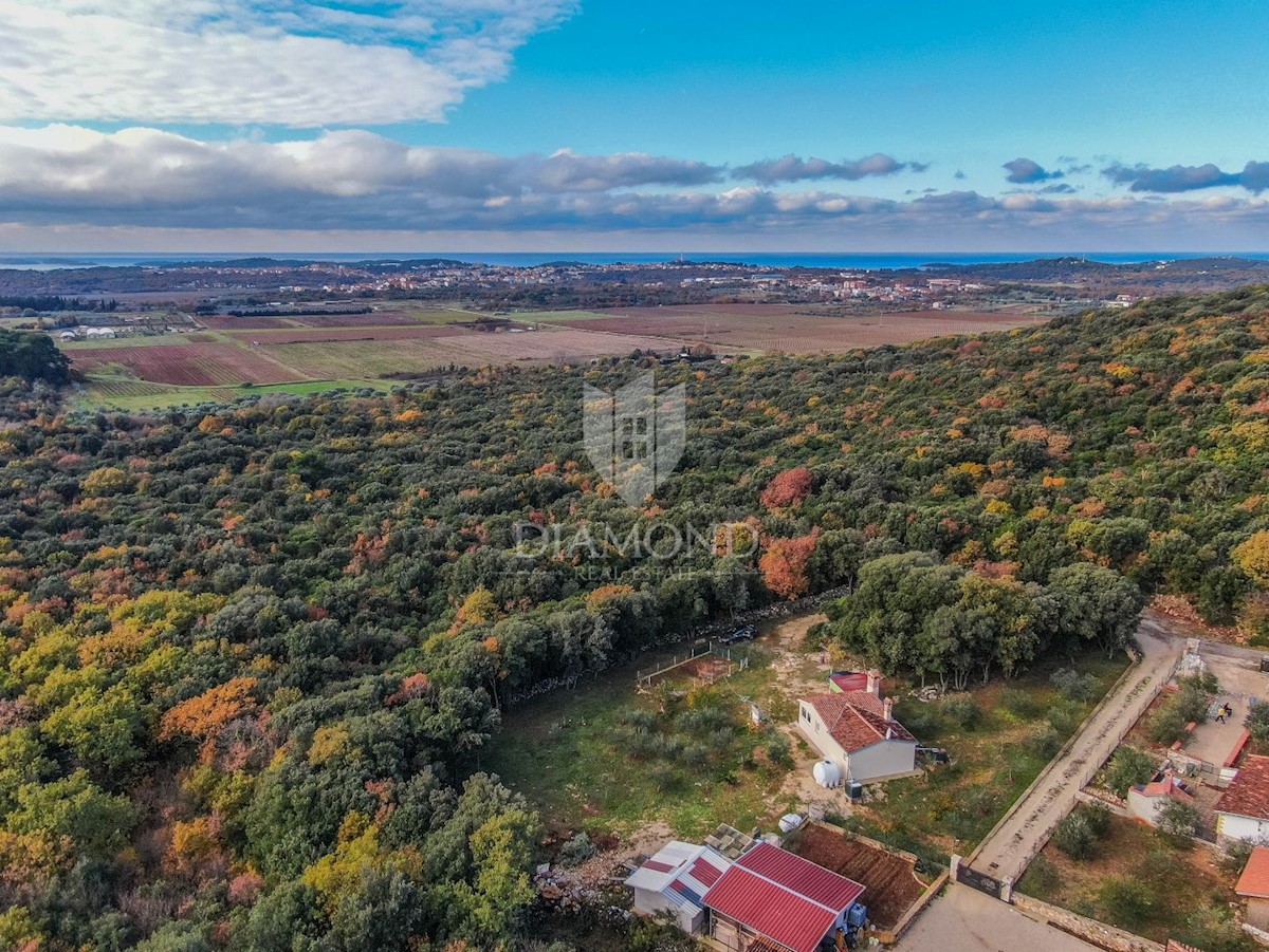 Rovigno, ottima casa con ampio giardino