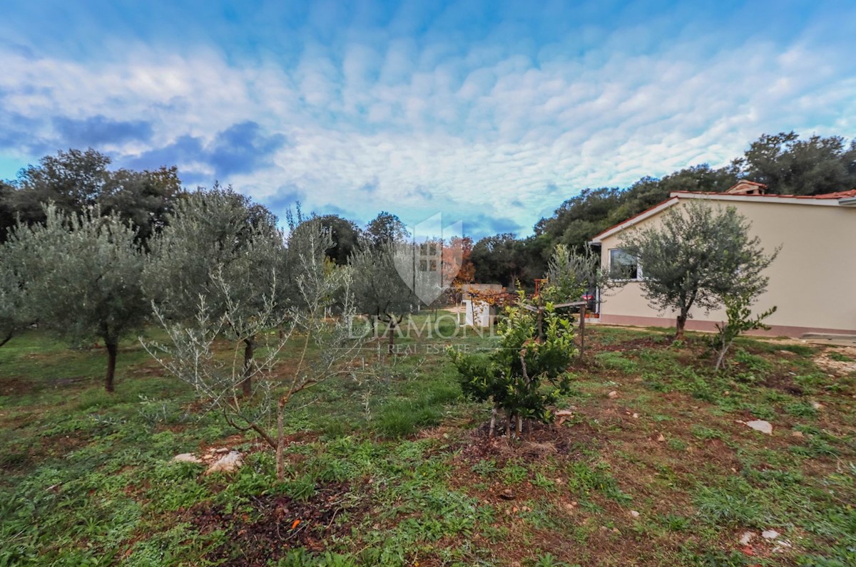 Rovigno, ottima casa con ampio giardino