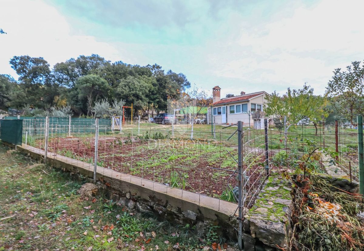Rovigno, ottima casa con ampio giardino