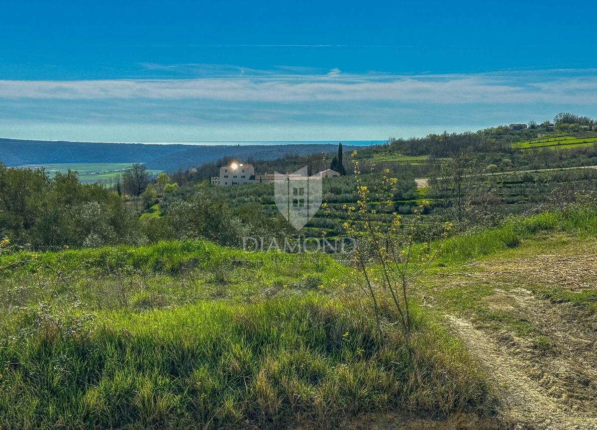 Terreno Krasica, Buje, 754m2