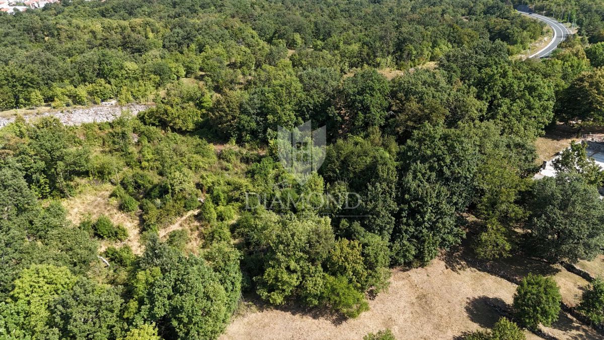 Terreno Mladenići, Viškovo, 2.731m2