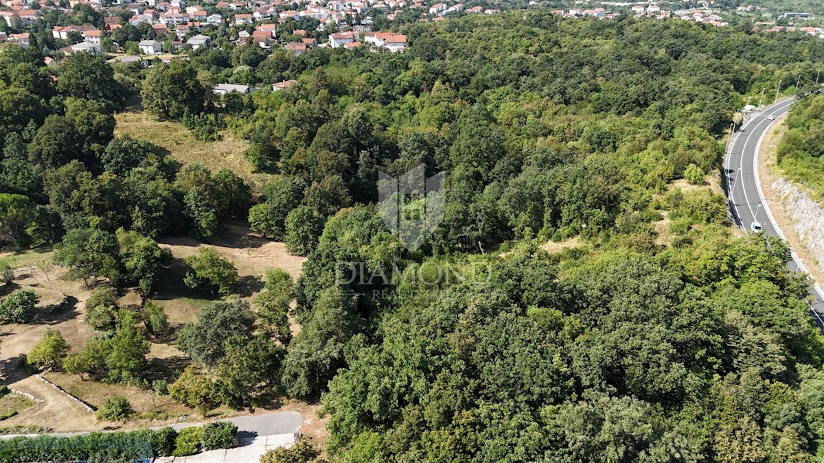 Terreno Mladenići, Viškovo, 2.731m2