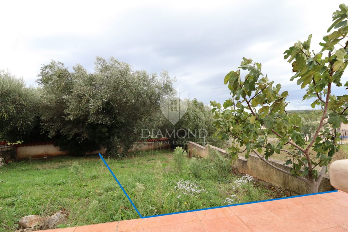 Parenzo, dintorni, OCCASIONE! Due appartamenti con giardino privato