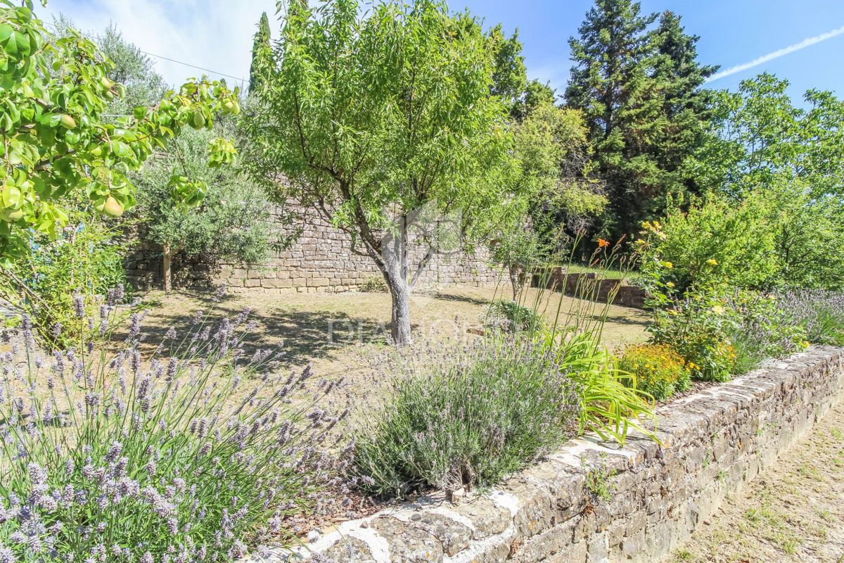 Grisignana, casa in ottima posizione con ampio cortile