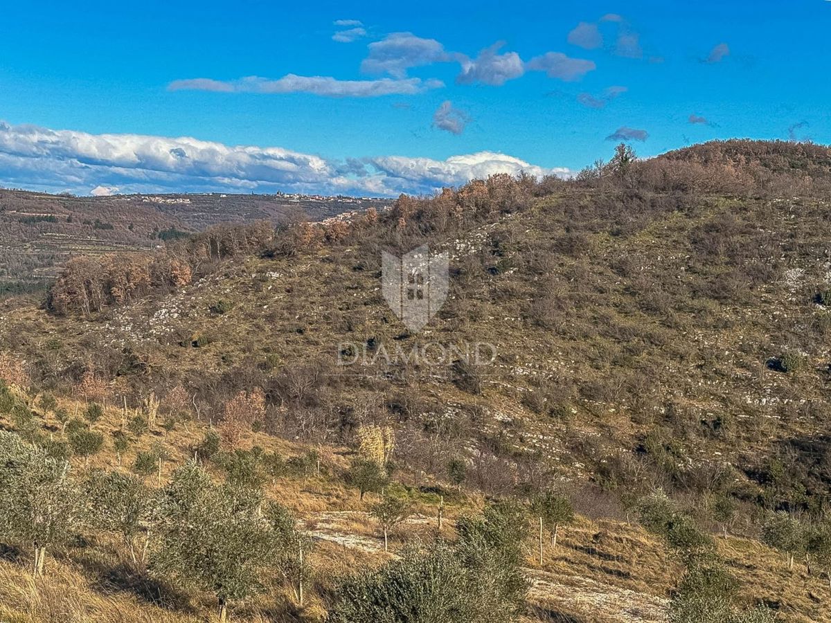 Istria, Buie, dintorni, terreno in una posizione desiderabile!