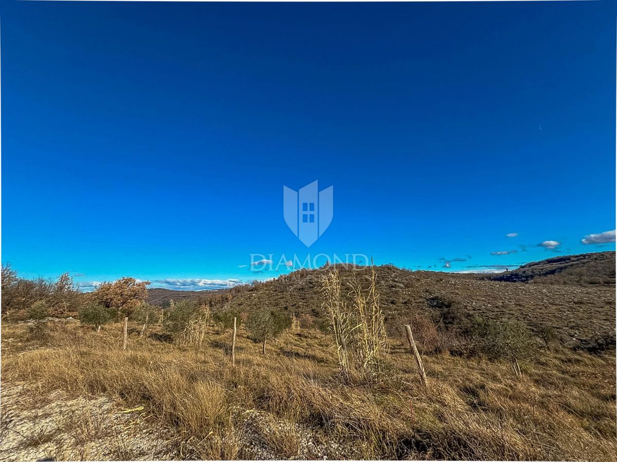 Istria, Buie, dintorni, terreno in una posizione desiderabile!