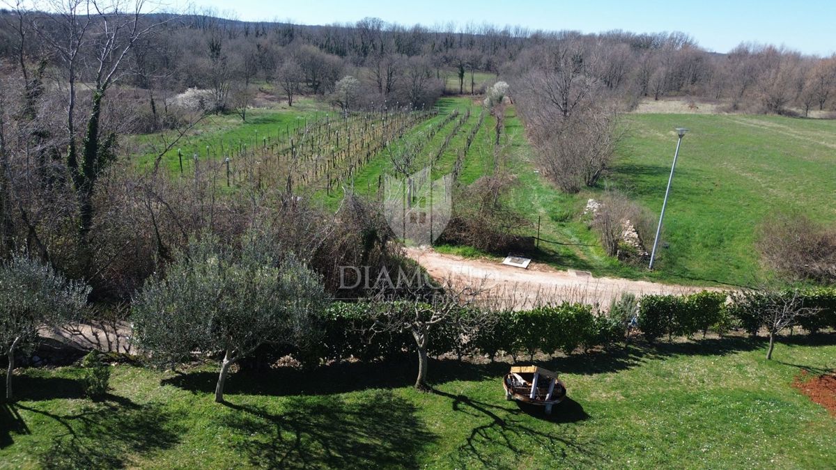 Terreno Nedešćina, Sveta Nedelja, 2.285m2