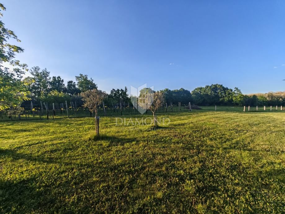 Terreno Nedešćina, Sveta Nedelja, 2.285m2