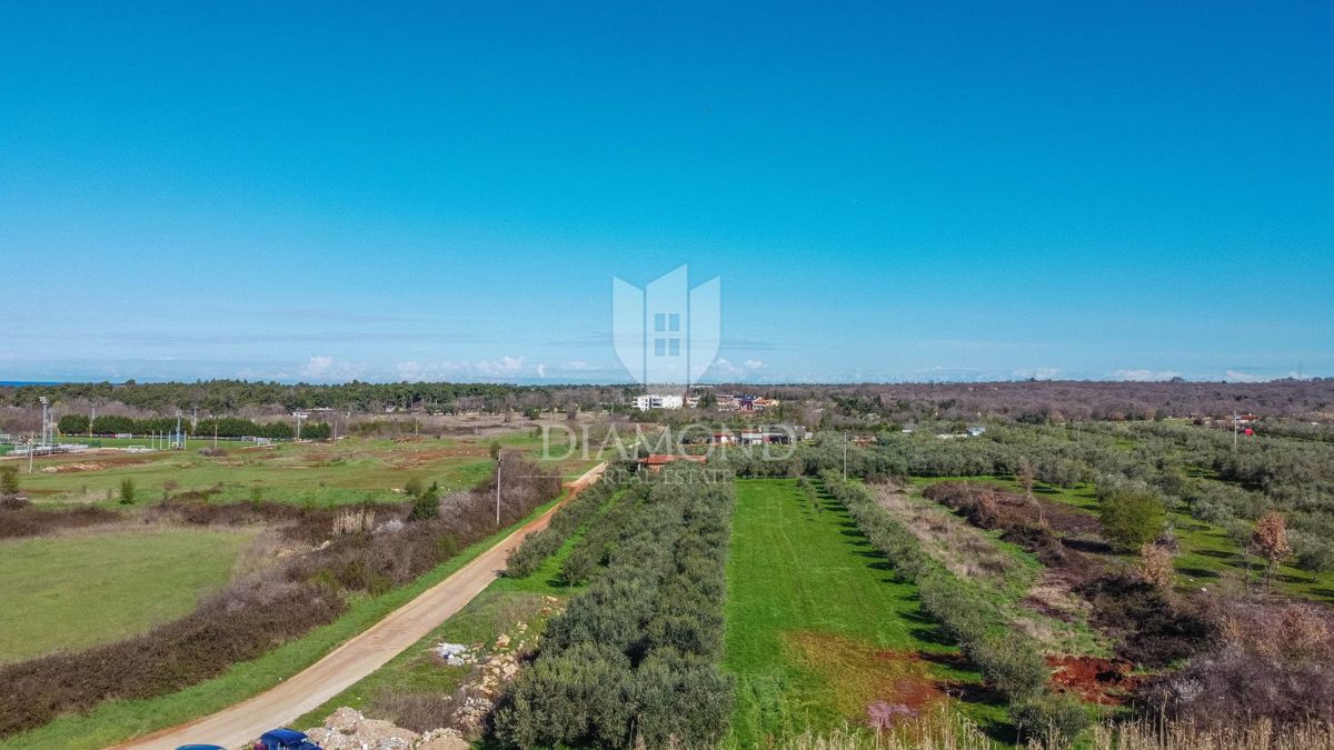 Umago, terreno edificabile perfetto per investimento di 3.700 m2 vicino alla città e al mare!