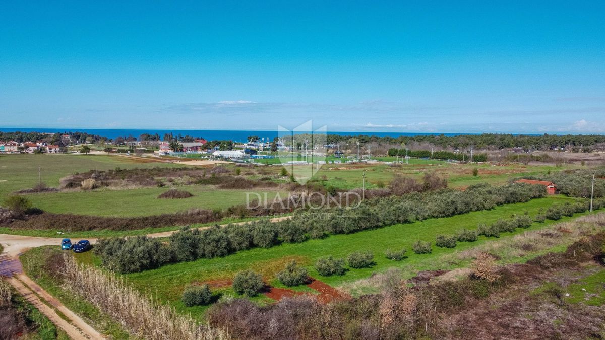 Umago, terreno edificabile perfetto per investimento di 3.700 m2 vicino alla città e al mare!