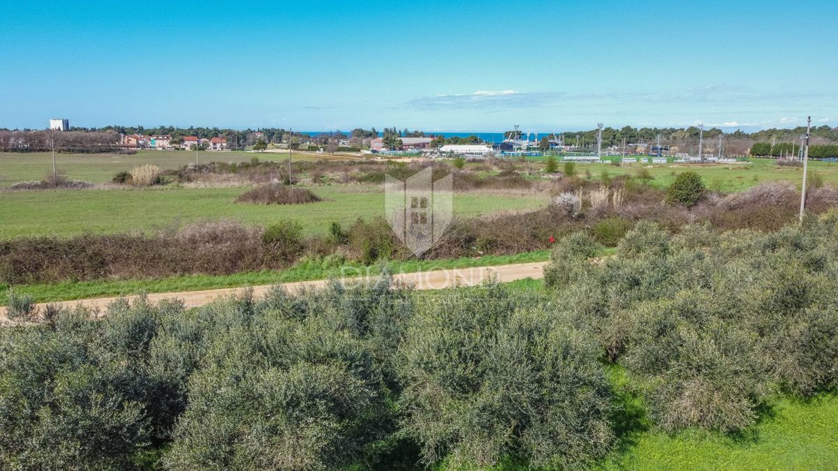 Umago, terreno edificabile perfetto per investimento di 3.700 m2 vicino alla città e al mare!