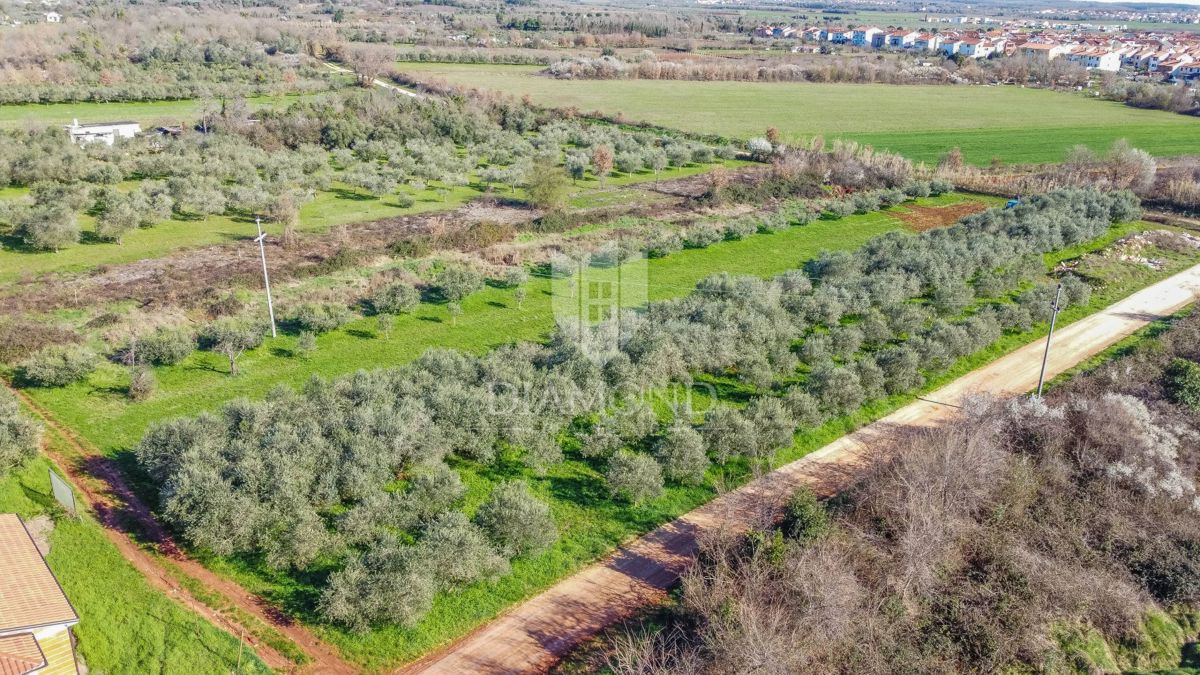 Umago, terreno edificabile perfetto per investimento di 3.700 m2 vicino alla città e al mare!