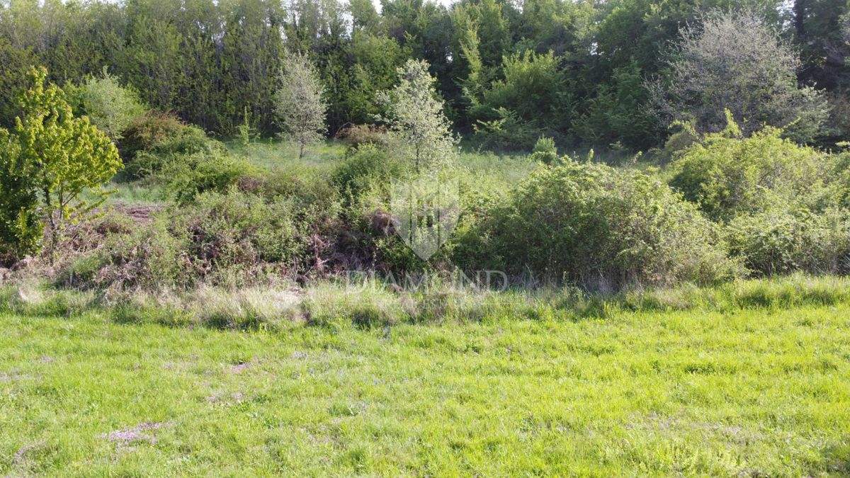 Parenzo – Dintorni – Terreno Edificabile Immerso nel Verde e nella Tranquillità