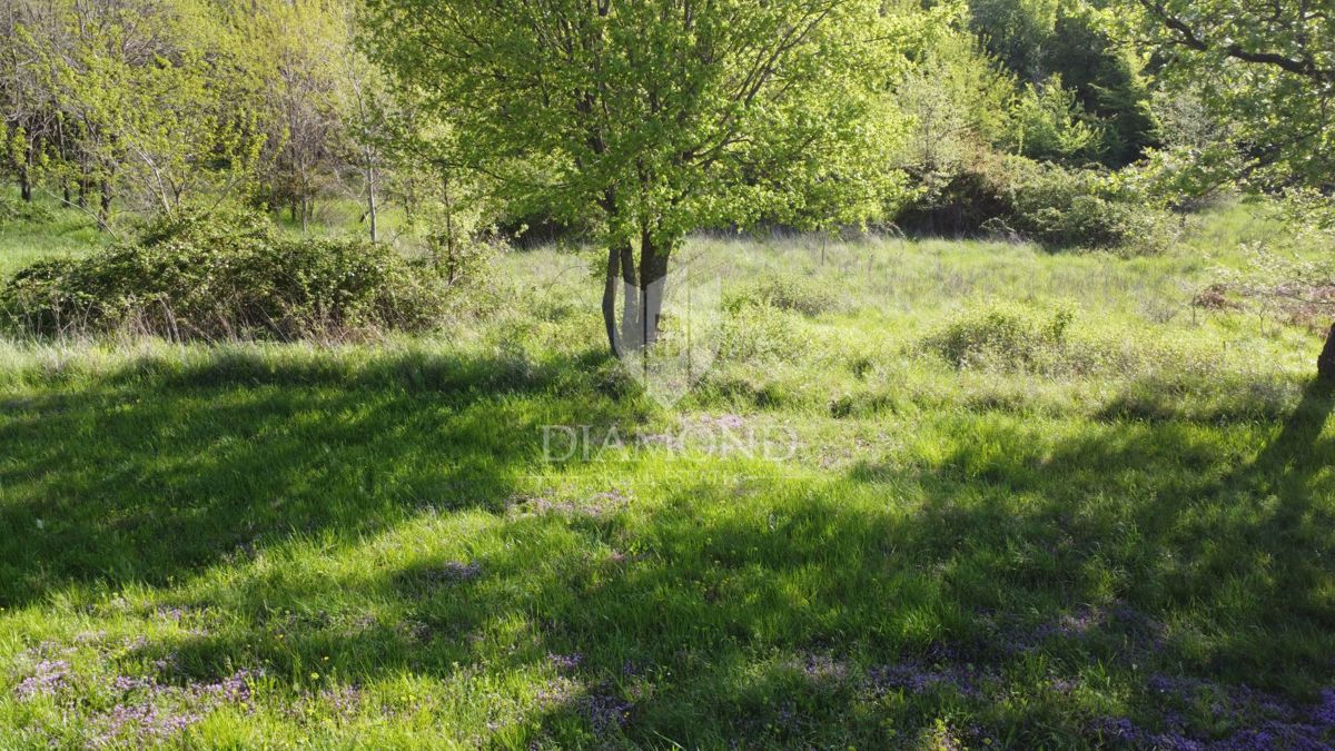 Parenzo – Dintorni – Terreno Edificabile Immerso nel Verde e nella Tranquillità
