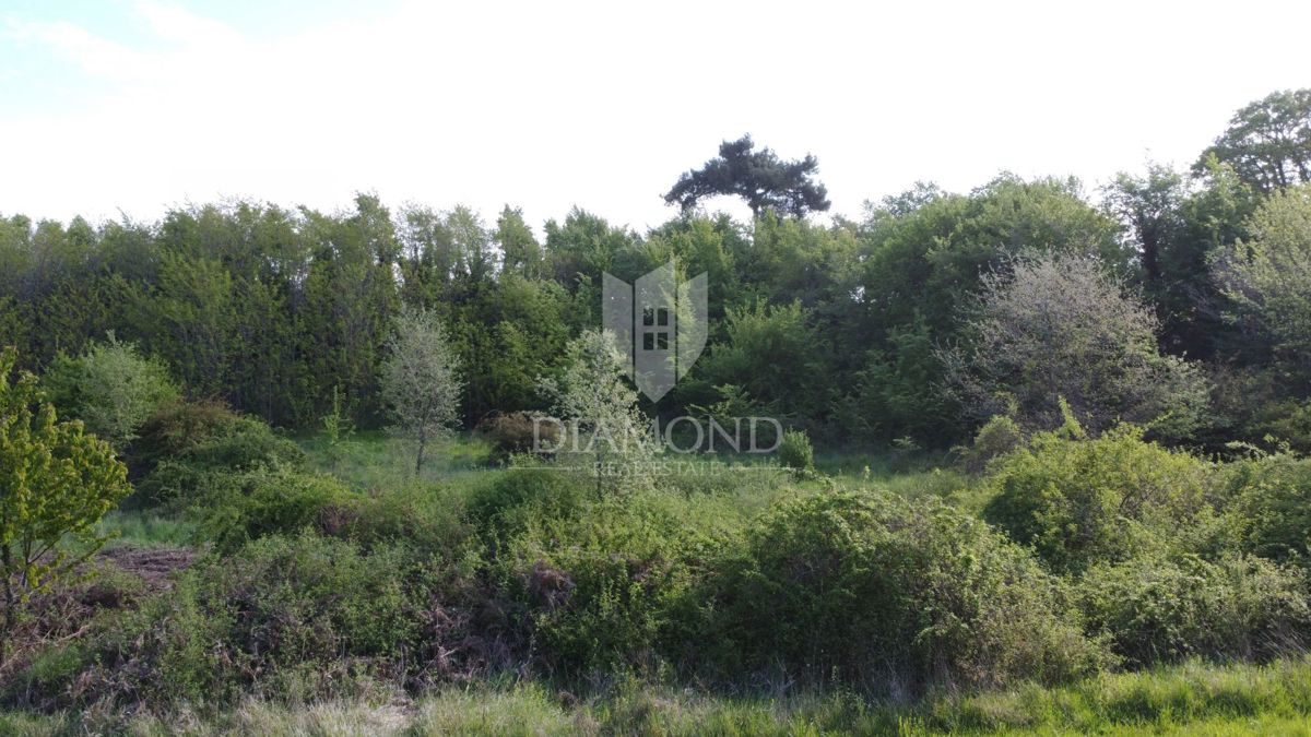 Parenzo – Dintorni – Terreno Edificabile Immerso nel Verde e nella Tranquillità