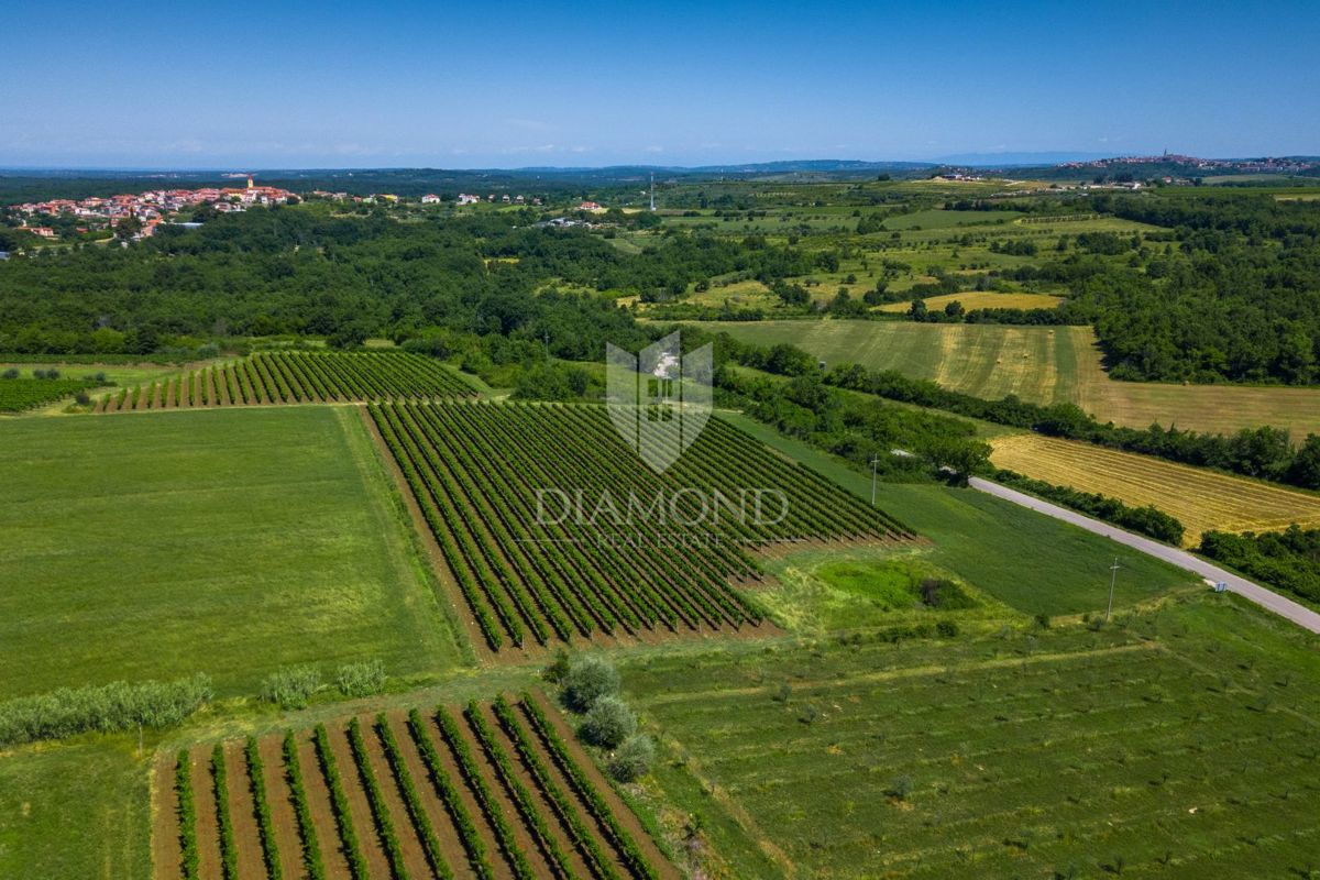 Verteneglio, bellissima villa con piscina ai margini del villaggio