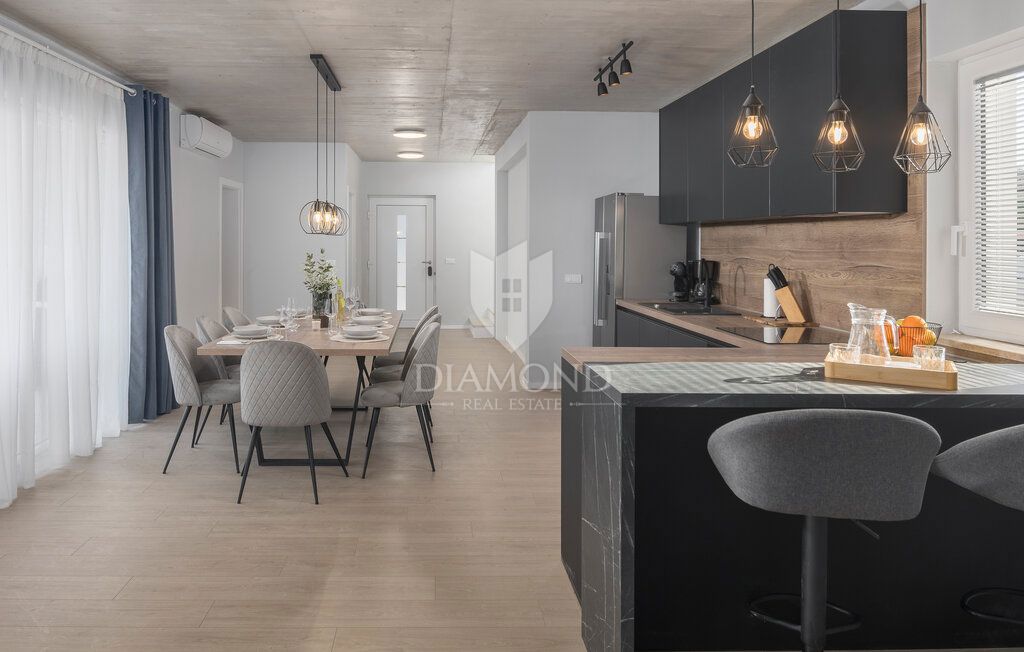 Labin, dintorni, bellissima villa con vista sulle montagne