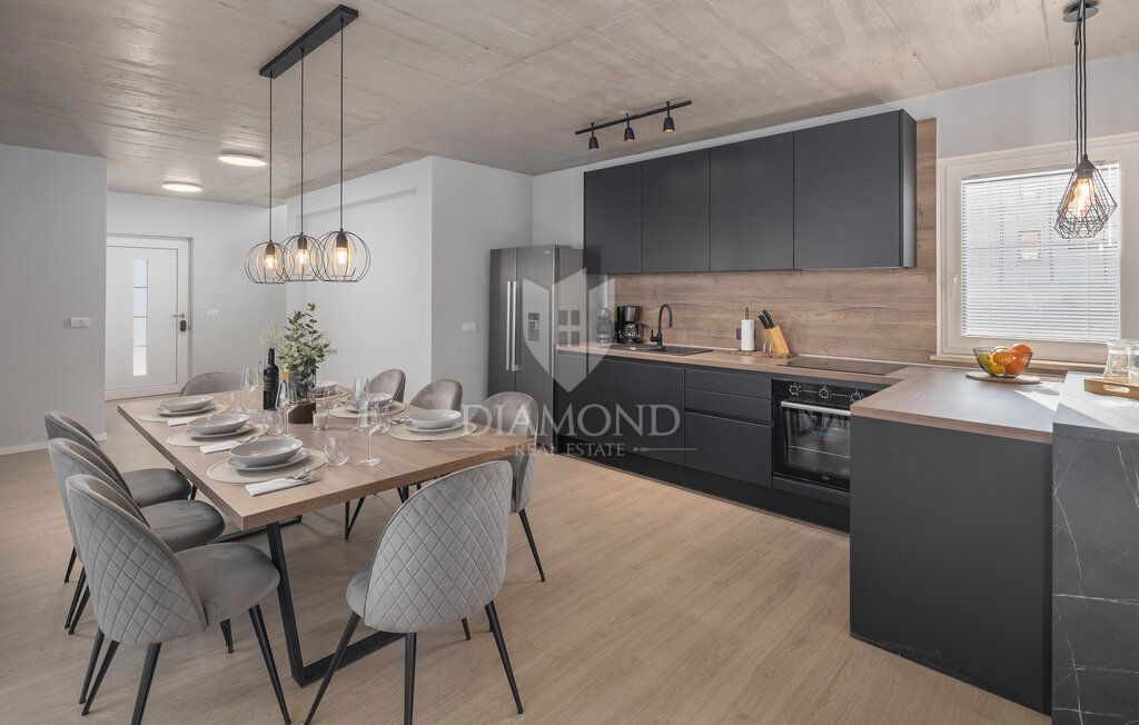 Labin, dintorni, bellissima villa con vista sulle montagne